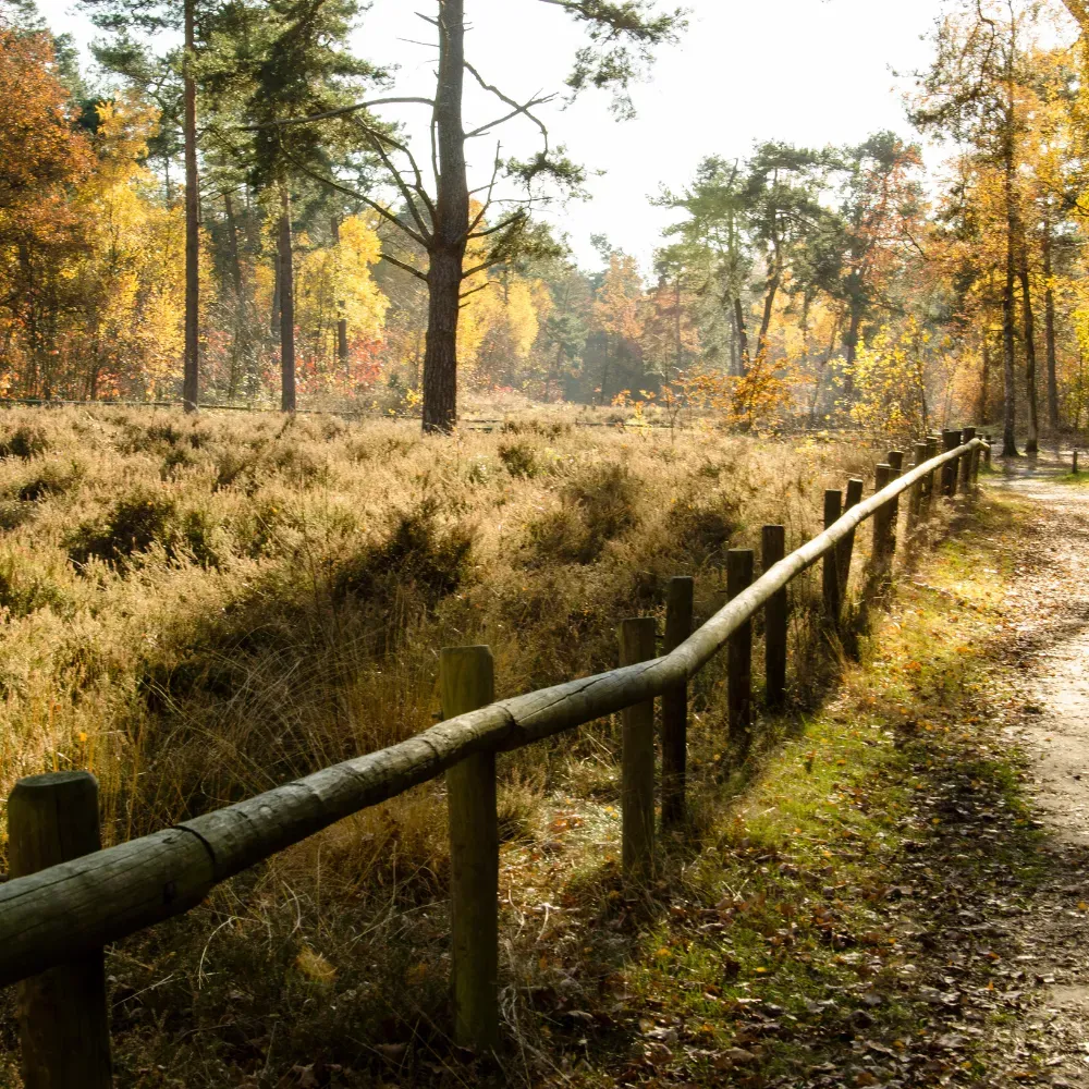 Groot_rondje_herfst_hulsbeek_heide.webp